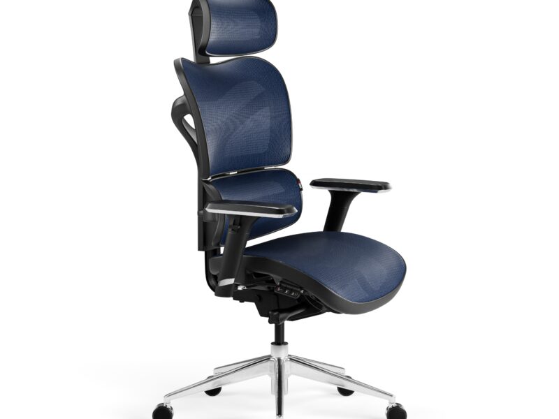 Fotel ergonomiczny Diablo V-Commander: Czarno-Niebieski