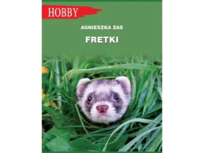 Fretki