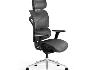 Fotel ergonomiczny Diablo V-Commander, czarno-szary