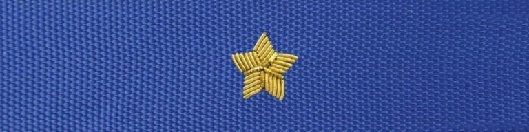Otok do czapki garnizonowej PSP – aspirant, młodszy brygadier (haft bajorkiem)