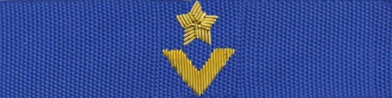 Otok do czapki garnizonowej PSP – młodszy aspirant (haft bajorkiem)