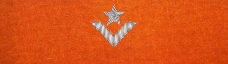 Otok pomarańczowy do rogatywki Wojska Polskiego – młodszy chorąży