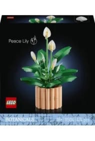 LEGO Botanicals Skrzydłokwiat 11504
