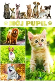 Mój pupil