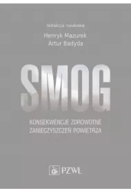 Smog. Konsekwencje zdrowotne zanieczyszczeń powietrza
